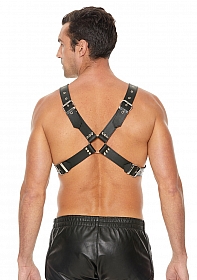 Leather Harness with Large Buckle - One Size