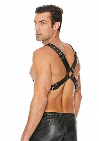 Leather Harness with Large Buckle - One Size