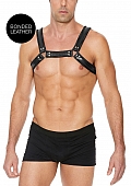 Leather Bulldog Harness with Buckles - L/XL