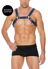 Buckle Bulldog Harness - L/XL - Blue
