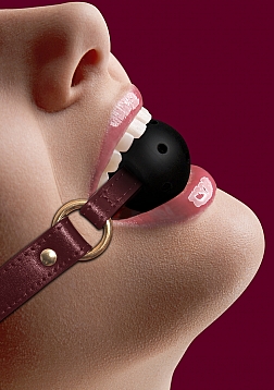 Ballgag with Holes