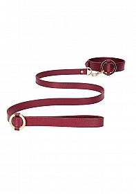 Luxurious Collar with Leash