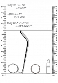 Stainless Steel Dilator with Glans Ring - 0.3\