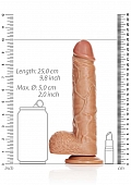 Straight Realistic Dildo with Balls and Suction Cup - 9\