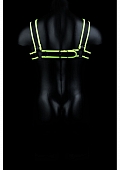 Chest Bulldog Harness - Glow in the Dark - L/XL