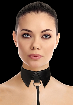 Classic Collar with Leash