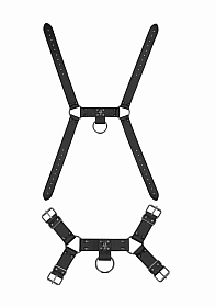 Male Harness with Skulls and Spikes